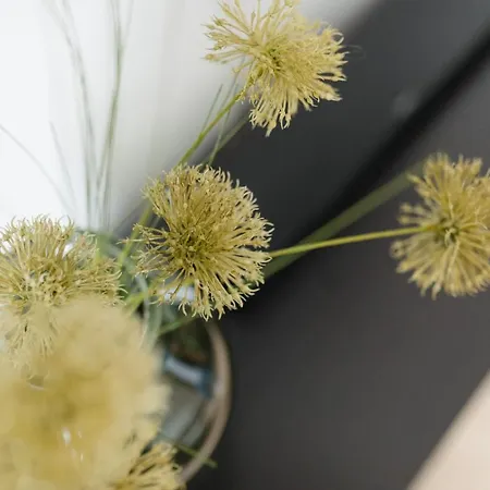 Kuesten West Seitliche Wasserlage, 1 Balkon, 90qm Апартаменты